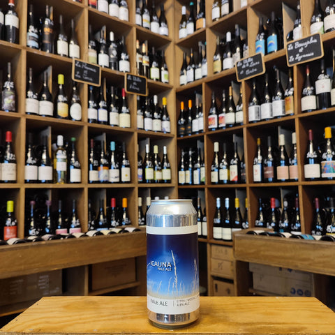 Popihn – Pale Ale ICAUNA – 44 cl