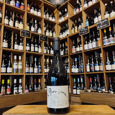 VDF – La Providence – Rouge – 2021 – 75 cl
