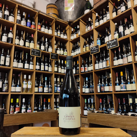 VdF – Dom. Lefebvre d'Anselme – Lamier Pourpre - Rouge – 2024 – 75 cl