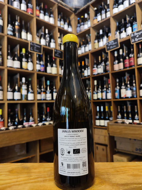 VDF - Domaine de l'Ecu –Janus– Blanc – 2023 – 75 cl
