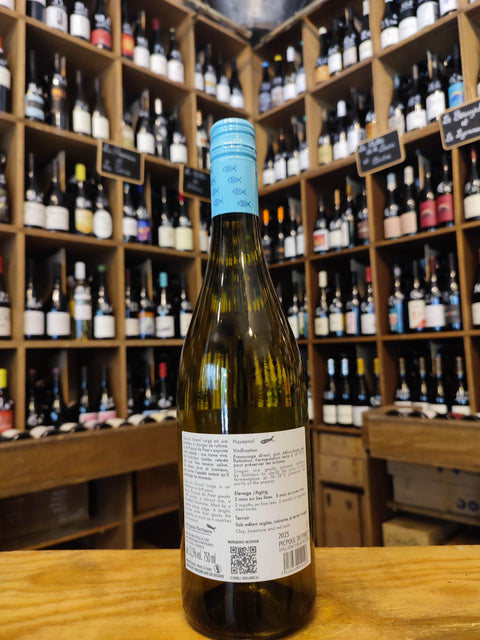 Picpoul de Pinet - Artisans Partisans - Grand Large - Blanc - 2025 - 75cl