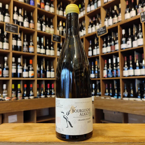 Bourgogne Aligoté–Premier Chapitre–Grand Champs-Blanc–2023–75 cl