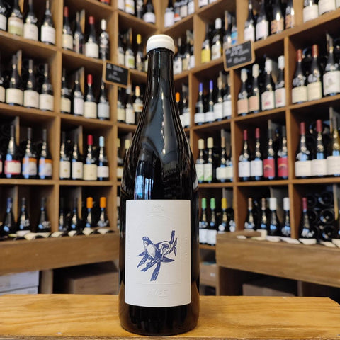 Côte Roannaise – Domaine Rénitéo – Aves les oiseaux rares – Rouge – 2023 – 75 cl